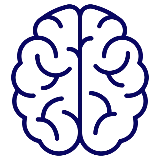 brain