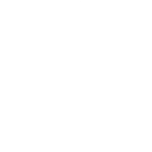 BRAIN
